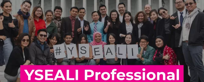 YSEALI Professional Fellows Program 2023