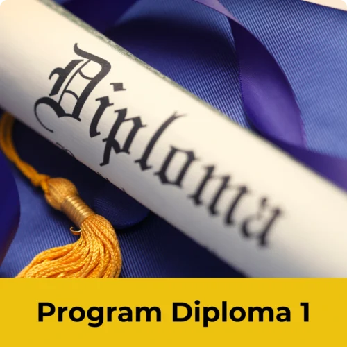 Program Diploma 1