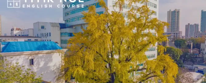 Hanyang Cyber University